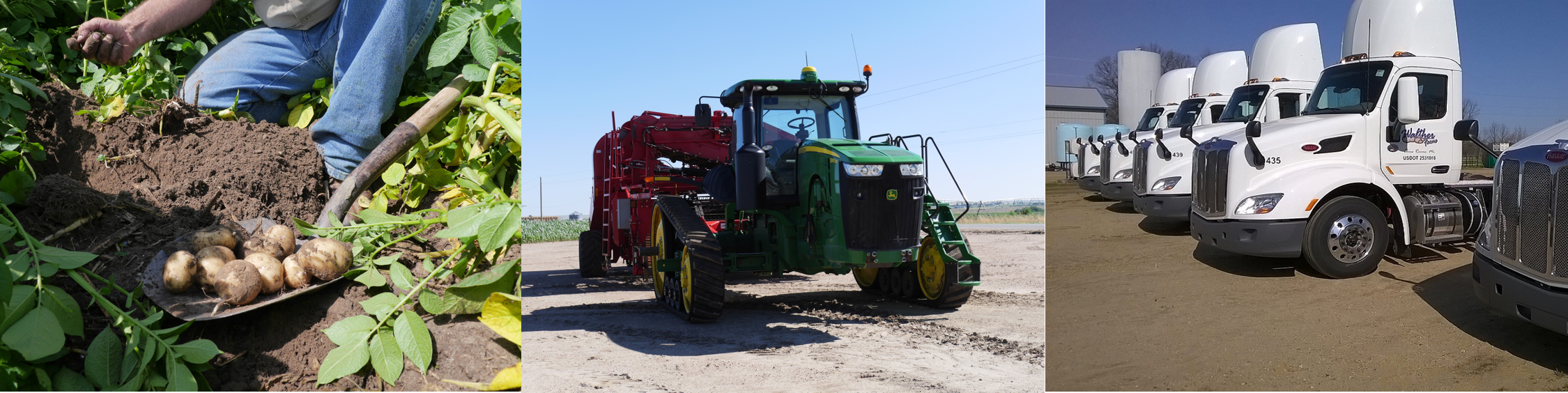 Walther Farms Careers Header Walther Farms