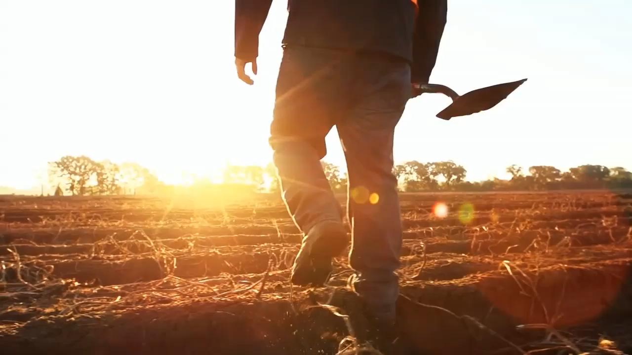 Walther Farms Growing People by Growing Potatoes
